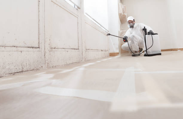 24/7 Emergency Black Mold Removal experts in Hamilton, GA