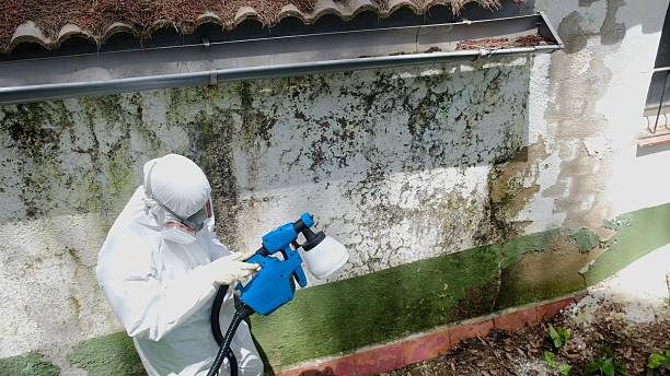 Trusted Commercial Mold Remediation service in Hamilton, GA - Cheap Mold Removal
